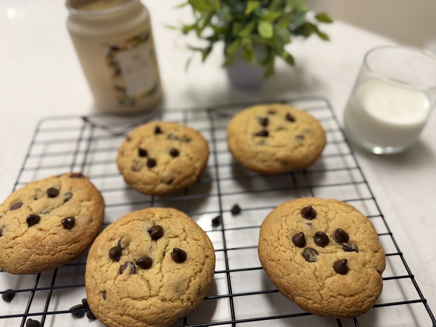 Chocolate chip cookies on a cooling rack